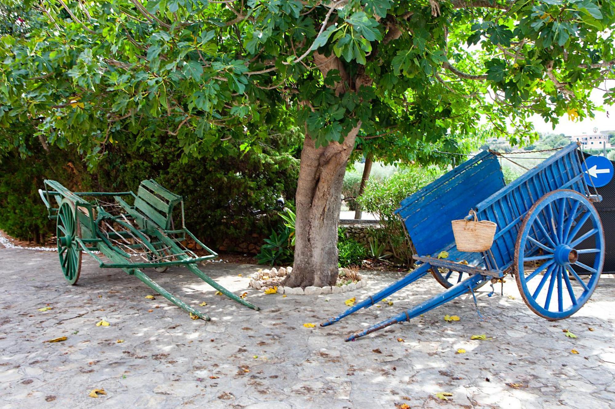 S'Hort De Son Caulelles - Adults Only Vila Marratxí Exterior foto